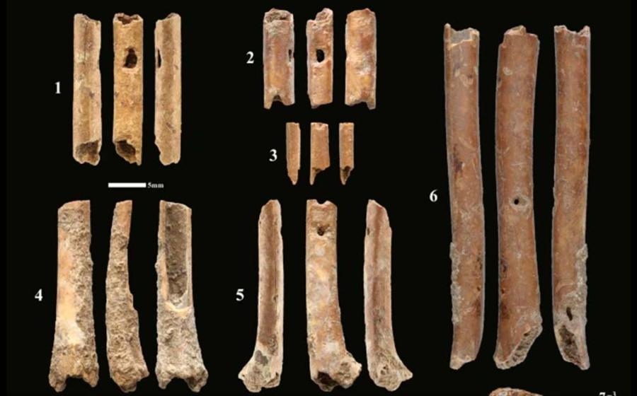 Bone ‘aerophones’ or flutes from Eynan-Mallaha. Source: Laurent Davin et al/ Nature 