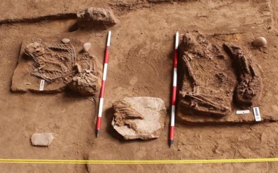 These two ancient skeletons buried at the Gua Chalan site were discovered before a hydroelectric lake flooded it.