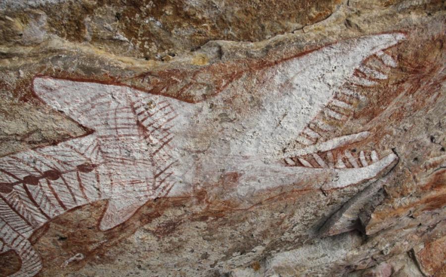 Head of the over 6 meters long rainbow serpent at AW5 in Awunbarna, Australia
