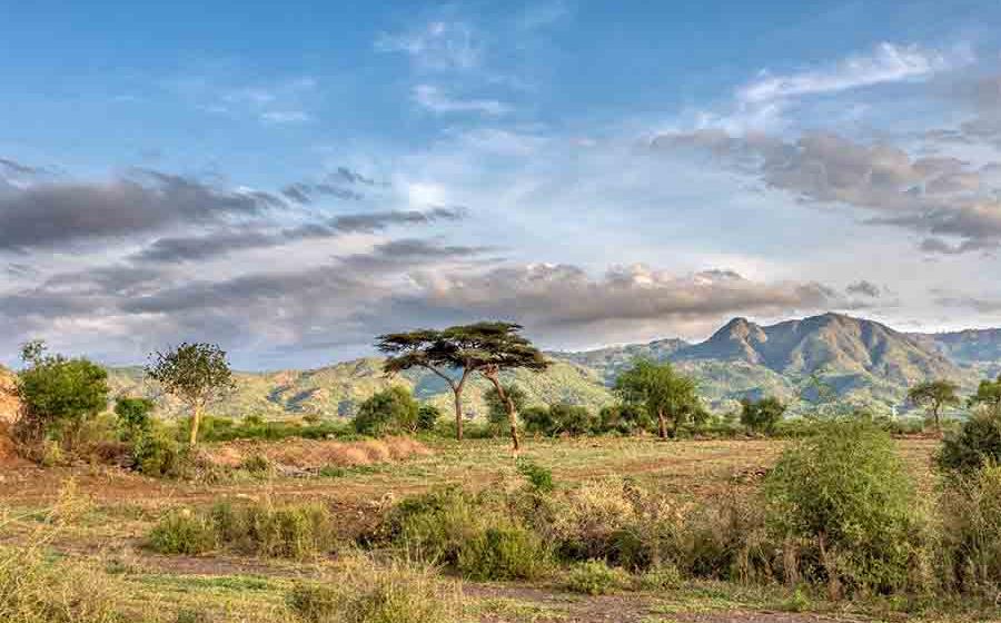 The landscape of Ethiopia today. During the first African migrations by Homo sapiens heading north to Europe or west to the Middle East, Ethiopia and East Africa in general were areas where the climate fluctuated frequently.
