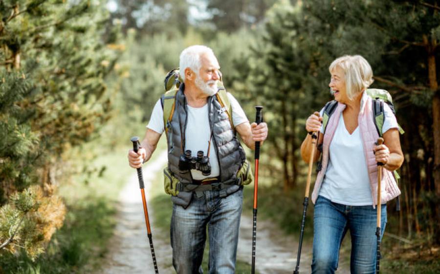 Happy senior couple hiking with trekking sticks and backpacks at the young pine forest