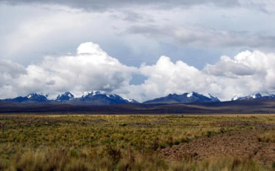 Field view of Altiplano. 