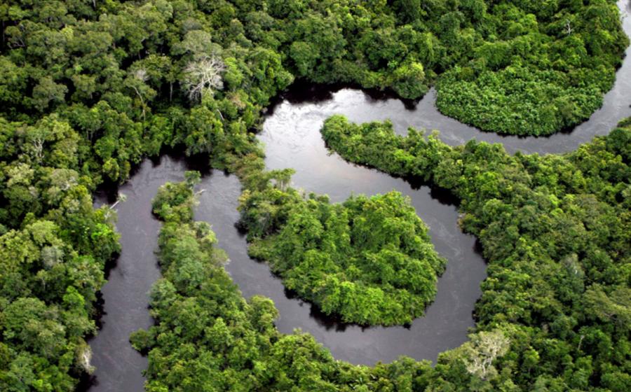 : Aerial view of a river winding through the Amazon rainforest. 