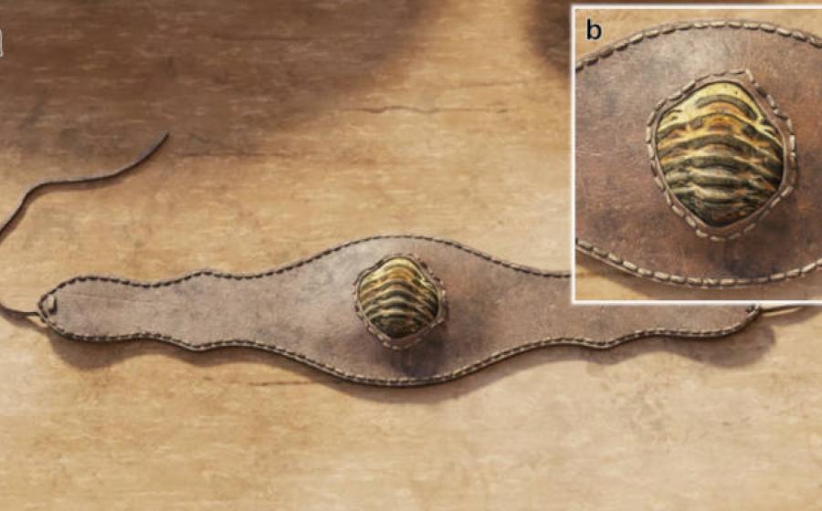 Computer simulation of the Armea trilobite specimen mounted for use as a personal ornament on a leather bracelet 