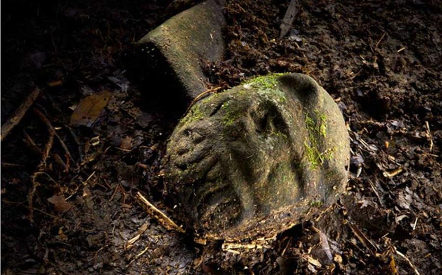 Explorers That Found Ancient Lost City of the Monkey God Almost Lose Their Faces to Flesh-Eating Parasite