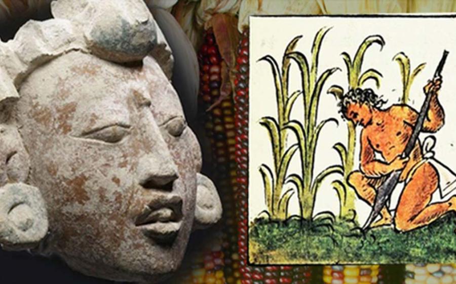 Remembering the Future: How Ancient Maya Agronomists Changed the Modern World