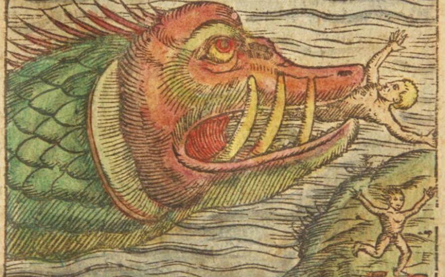 Buried in silt in the hull of the Gribshunden shipwreck, archaeologists have now discovered a barrel containing the skeleton of what appears to be an ancient sea monster measuring two meters long. Source: Reuseableart