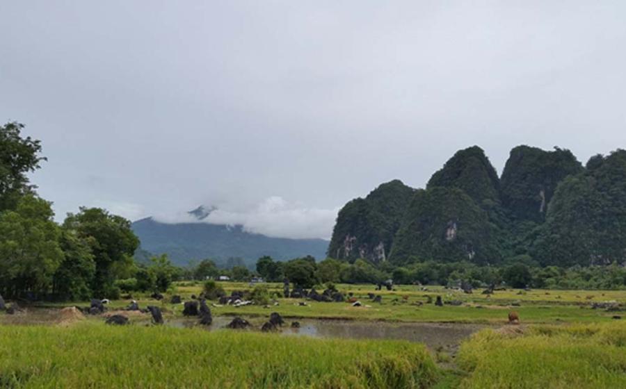 Limestone ‘tower’ karst region in the south of Sulawesi, where Leang Burung 2 is located.