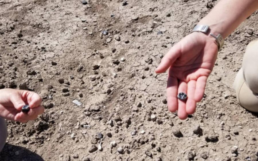 The 2.6 million year old Australopithecus teeth found in Ledi-Geraru, Ethiopia