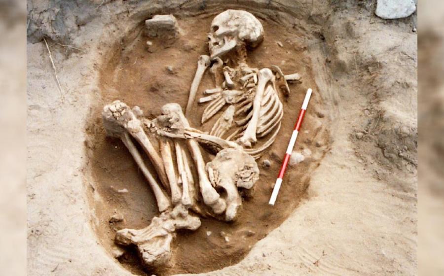 Study of 110 Bamburgh skeletons indicates Anglo-Saxon enlightenment. Source: Bamburgh Bones