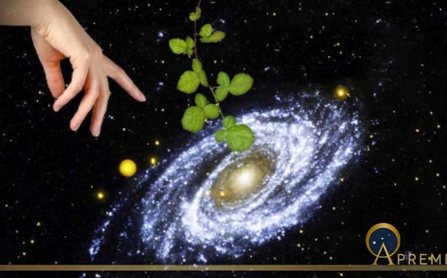 Panspermia theory argues that life came to Earth from elsewhere in our galaxy or even further away.(Dmitry / Adobe Stock)