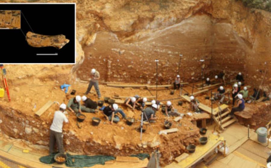 Gran Dolina archaeological site at Atapuerca, Spain, with inset child vertibra bone.