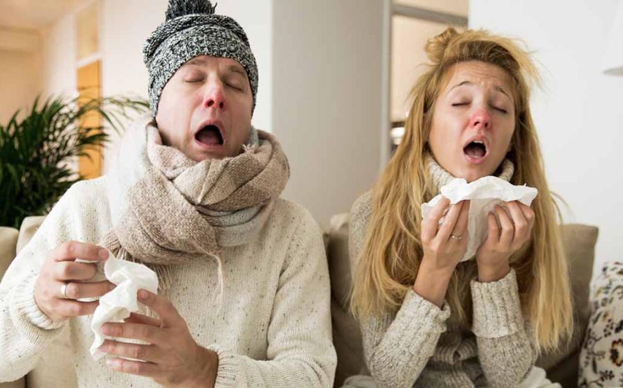 Using Ayurvedic Medicine to Fight the Common Cold and Flu