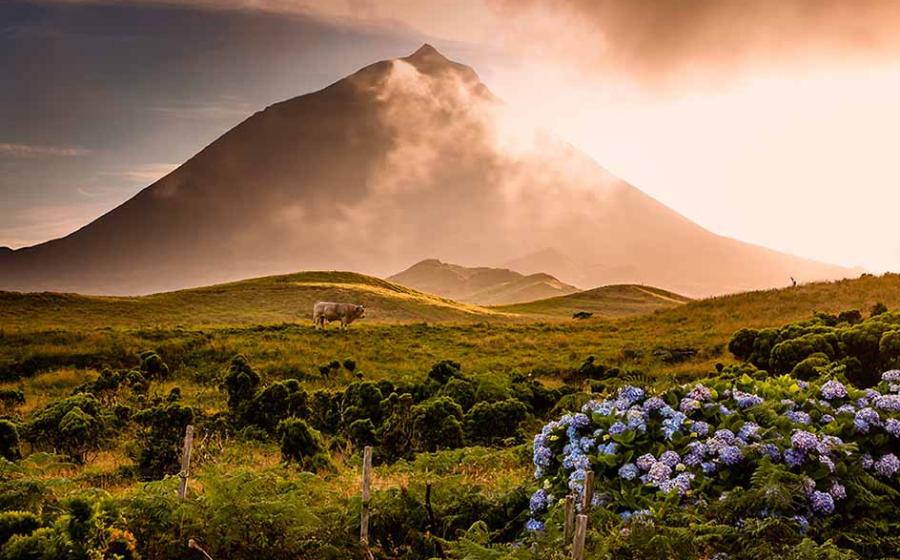 Are the Misty Peaks of the Azores Remnants of the Legendary Atlantis?