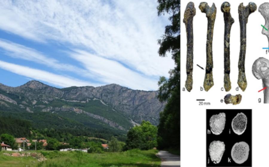 Scenery at Zgorigrad Village, Vrachanski Balkan National Park, Bulgaria. Right; images of the femur.