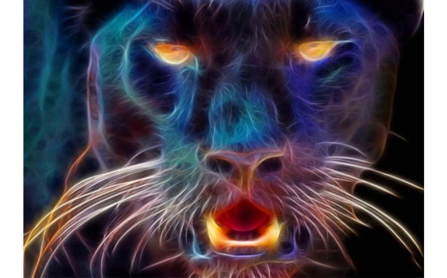 Artist’s rendering of the Beast of Exmoor. 