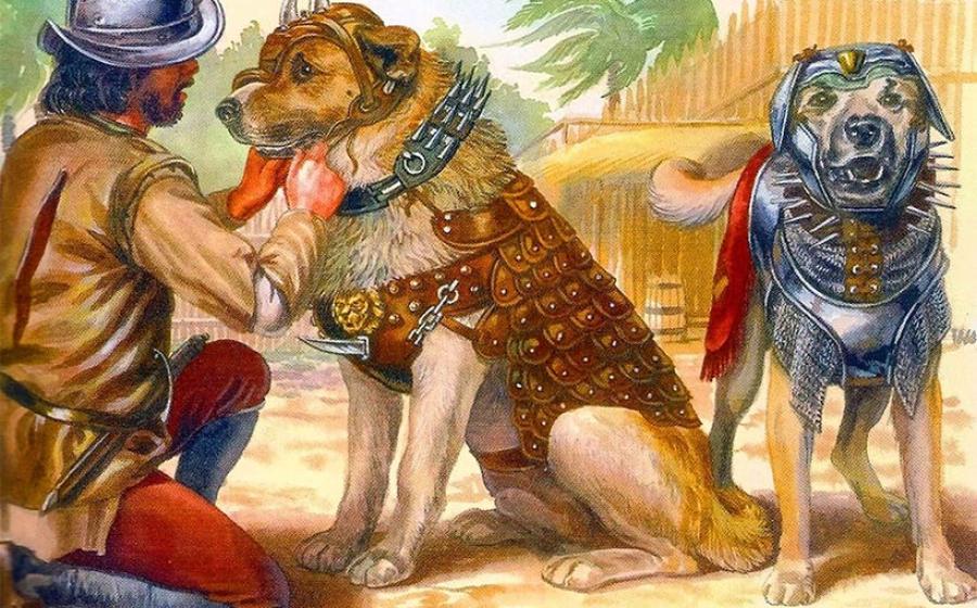 An illustration of Spanish war dogs in battle armor, which must have been similar to Becerrillo of Spanish conquistador fame. (Public domain).