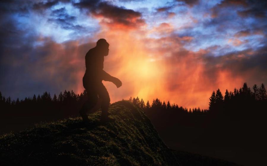 Does Bigfoot really exist?     Source: ginettigino / Adobe Stock.
