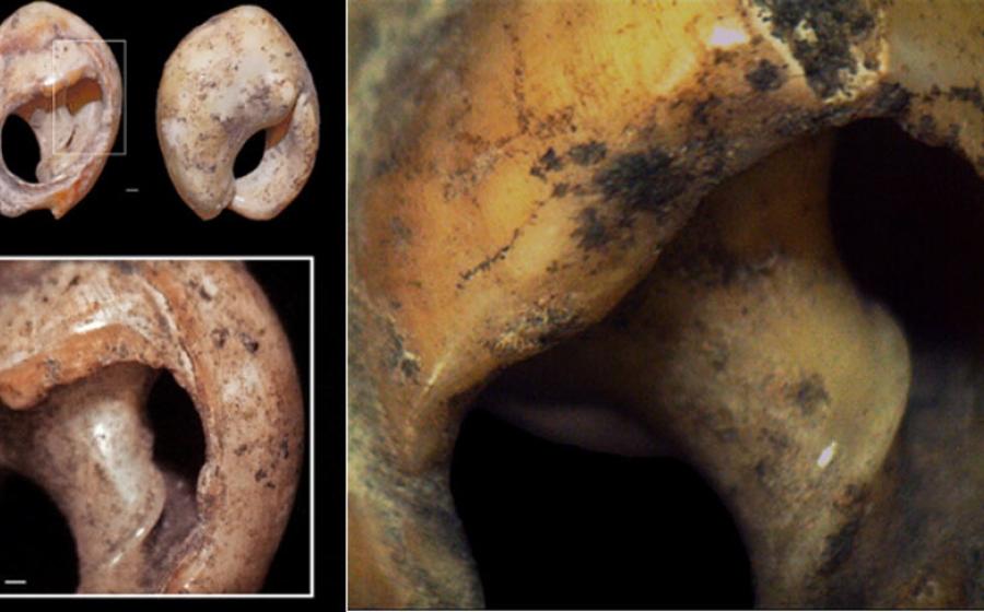 The Bizmoune Cave sea snail shell beads have been dated to at least 142,000 years ago, according to the latest research study, making them the oldest jewelry 