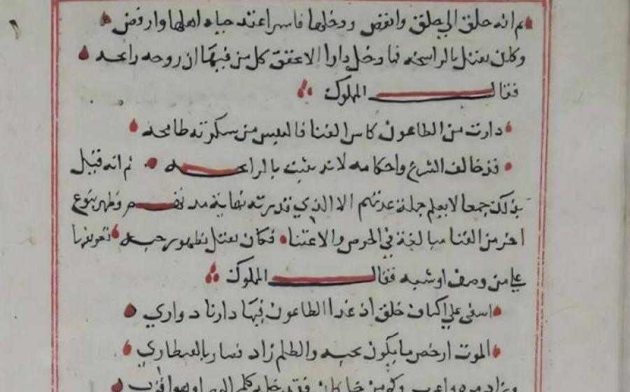 A page from Ibn Abi Hajala's (d. 1375) Dafʿ al-niqma bi-l-ṣalāh ʿalā nabī al-raḥma ("Repelling the Trial by Sending Blessings Upon the Prophet of Mercy").
