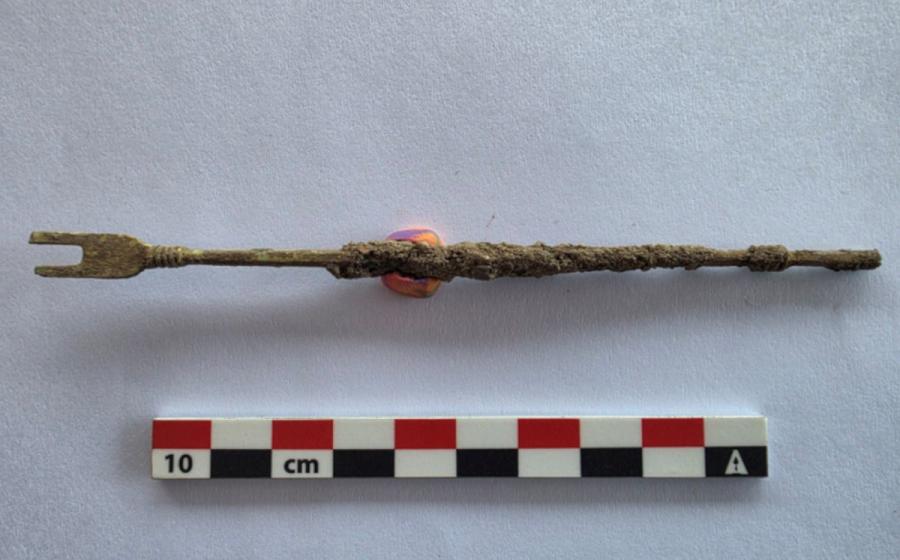 The specialized bladder stone removal tool found at Heraclea Sintica