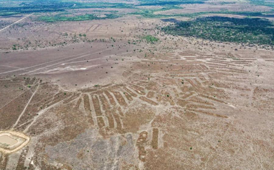 Raised cultivation platforms near Lake Ginebra.
