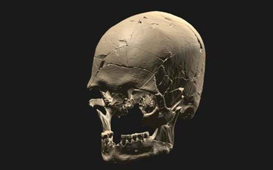 Skull of ‘Luzio’. The investigation that covered four different parts of Brazil carried out analysis of genomic data from 34 fossils, including larger skeletons and the famous mounds of shells and fishbones built on the coast. Source: André Strauss/Nature