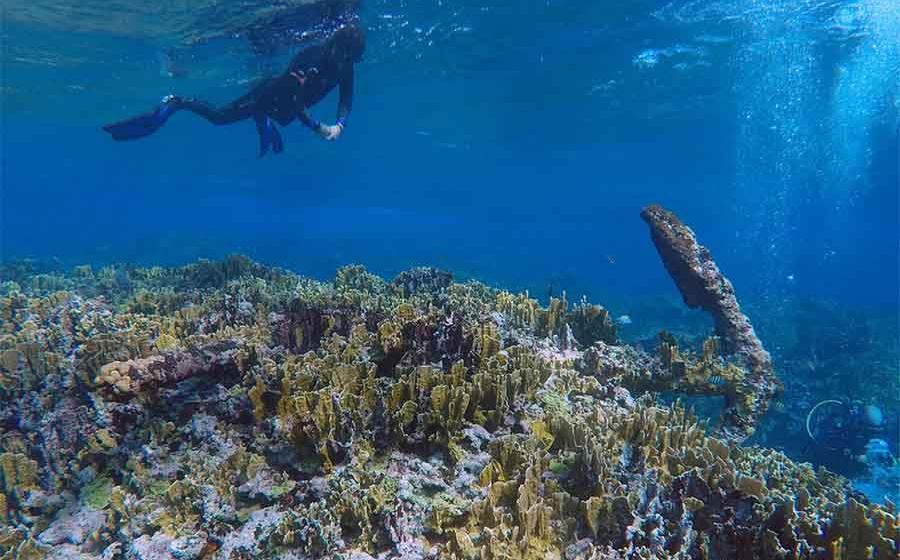 British Ghost Ship Wrecked In ‘Nightmare Reef’ To Be Investigated