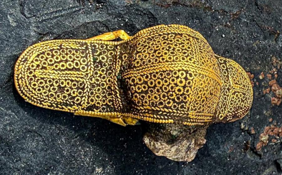The elaborate1,500-year-old gold brooch discovered in Denmark