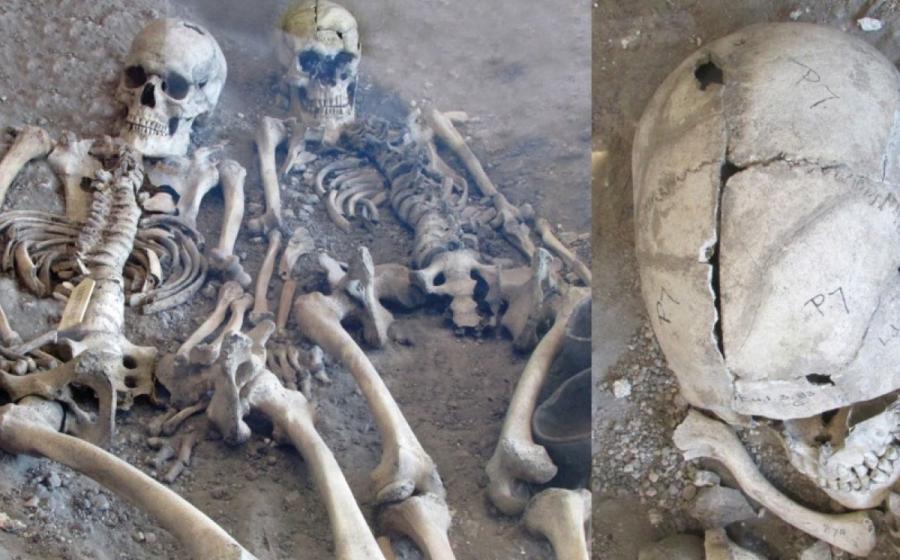 Two previously misidentified skeletons. 