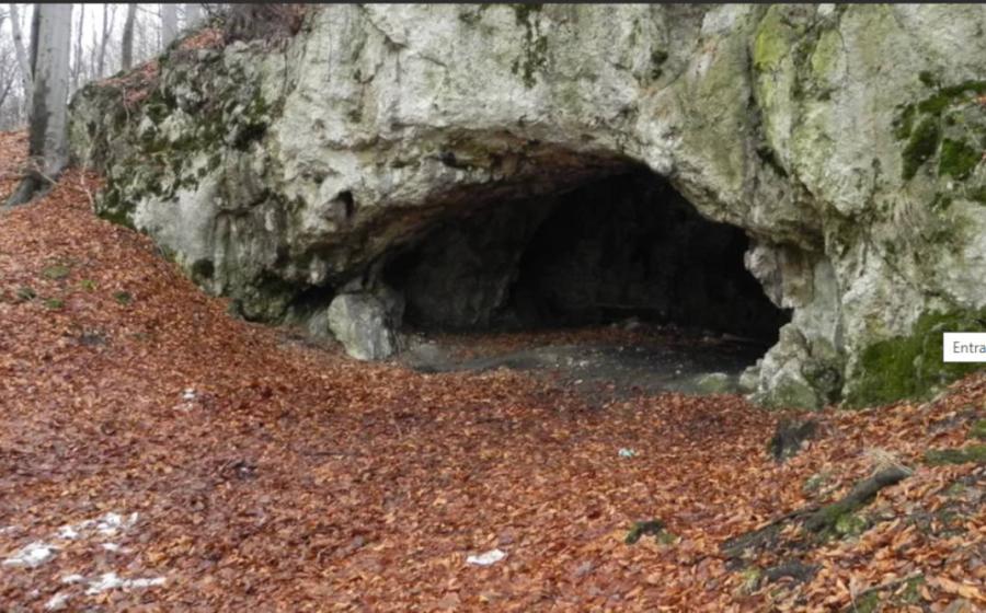 Entrance to Maszycka Cave.