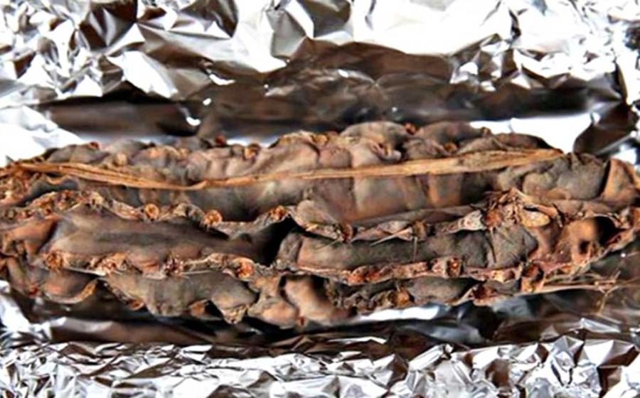 The recently discovered cactus, possibly belonging to the hallucinogenic species San Pedro (Echinopsis pachanoi). 