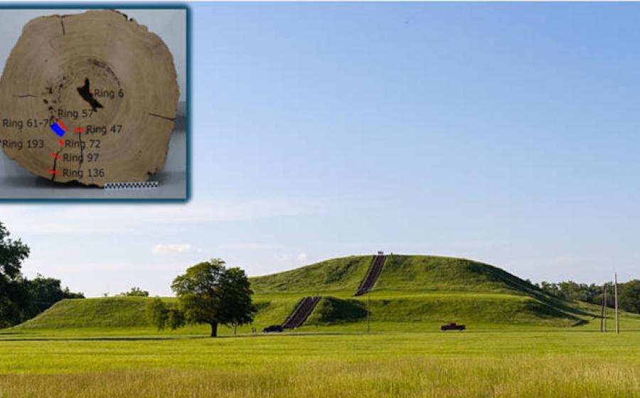 View of Cahokia's Monk Mound with inset the Mitchell Log.
