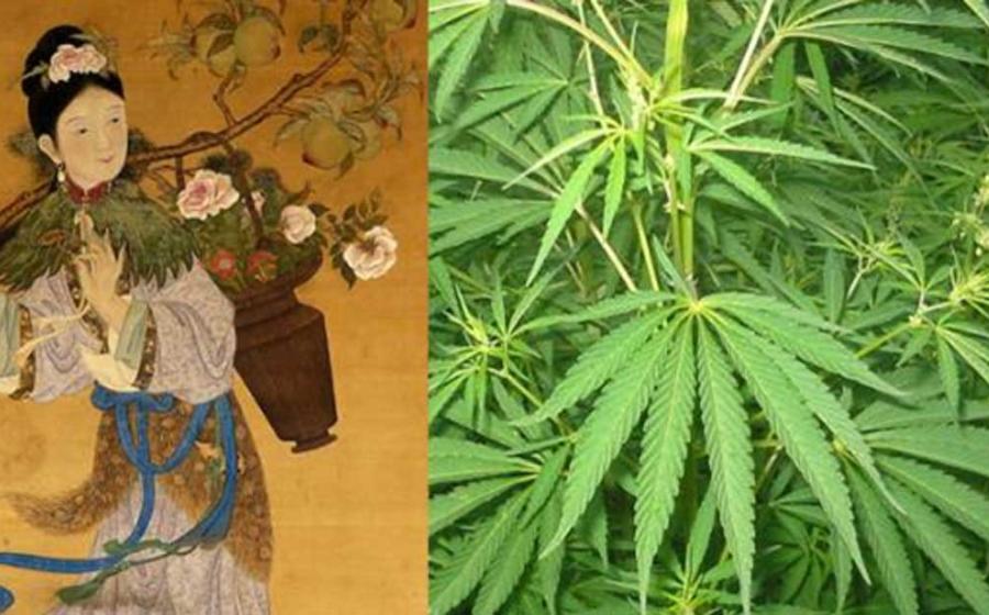 Magu, Goddess of Longevity and immortal hemp maiden