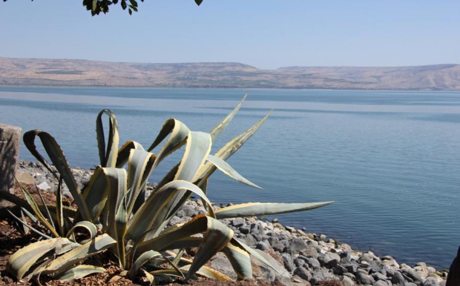 The Sea of Galilee seen from Capernaum.