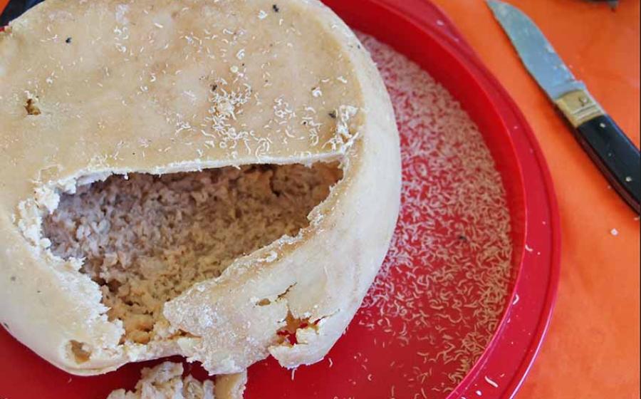 Casu Marzu cheese with maggots. Source: ballylocci / Adobe Stock.