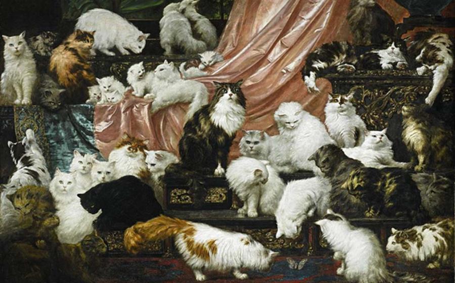 DNA Analysis Suggests Cats Chose to Be Domesticated 