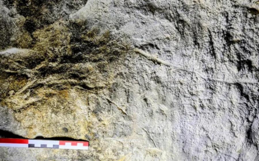 Evidence of cave art found in caves in Ireland. 
