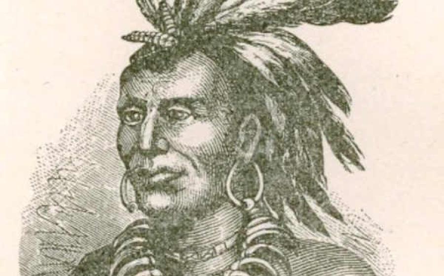 Chief Little Turtle & The Battle of Kekionga (Video)