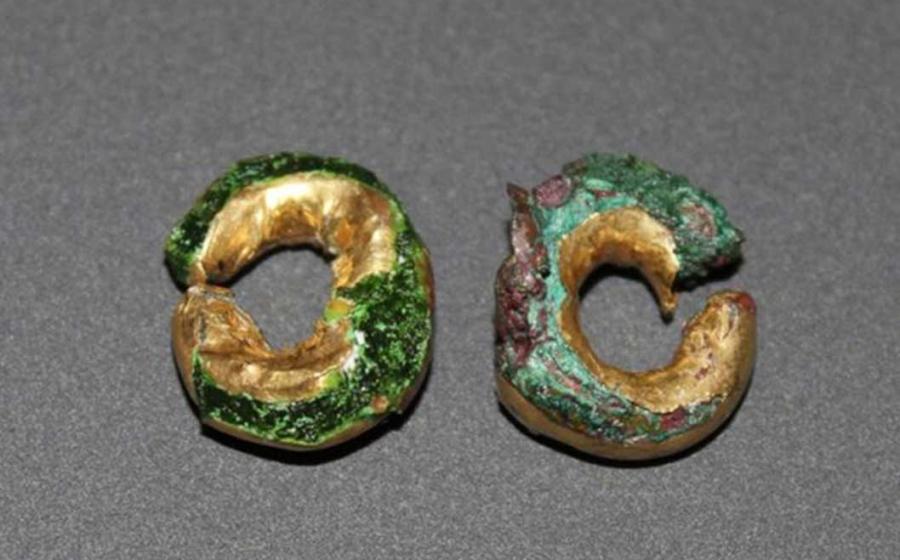 The gold hair rings found at Sculptor's Cave near Covesea, Moray. 