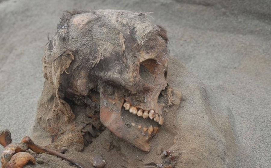 Skull of a child sacrifice at Huanchaquito-Las Llamas in Peru.