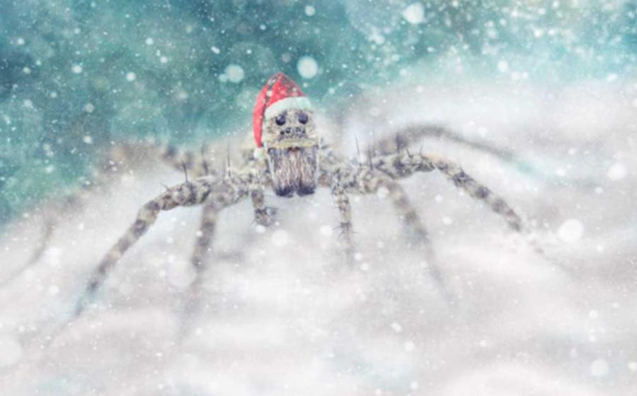 The Legend of the Christmas Spider is a folktale that dates back hundreds of years from German and Ukrainian origin. Source: VideoCorpus / Adobe Stock