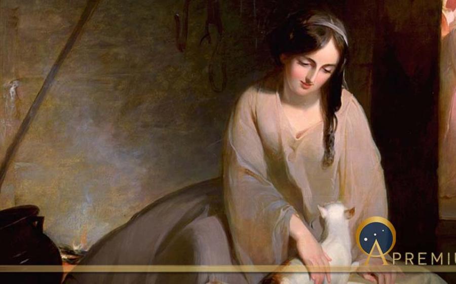The Cinder-Tree: Origins Of The World’s Most Famous Fairy Tale Cinderella
