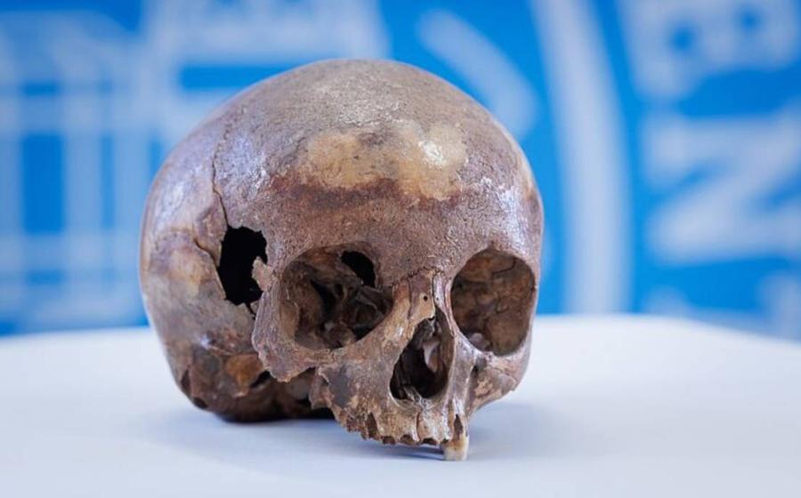 Skull recovered from the ruins of Ephess in 1929, which was once thought to belong to Cleopatra’s sister,  Arsinoë IV.