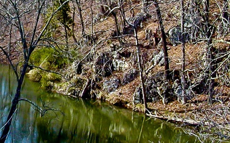 The Lost Tribe of Clover Hollow – Oldest Civilization in the World Found in Appalachian Mountains?