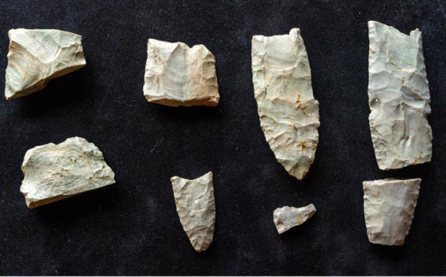 20 Clovis tools and hundreds of pieces of manufacturing and refurbishment debris at the Belson Clovis Site in St. Joseph County. 