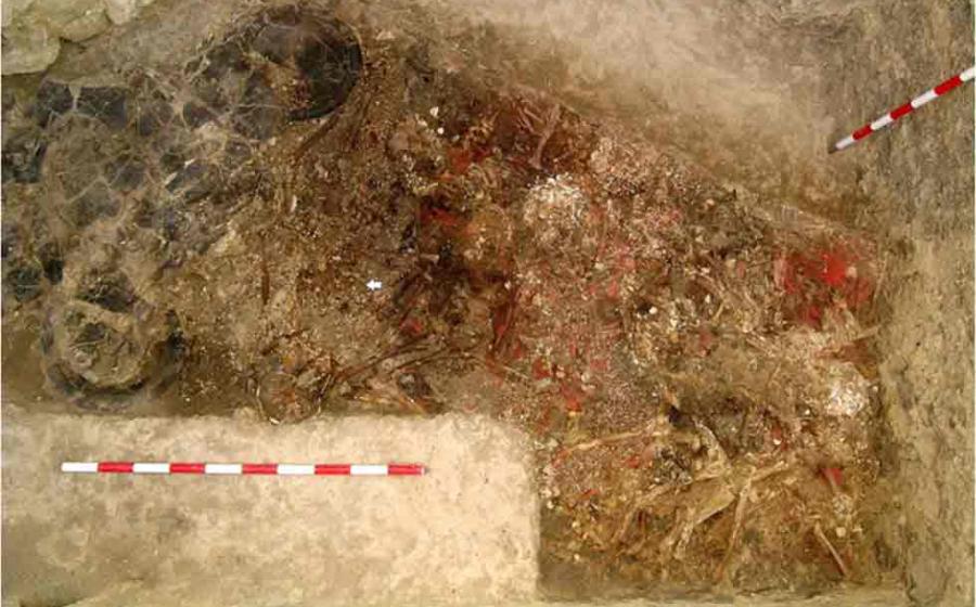 Cinnabar powder on human bones and beads in Valencina, site of Copper Age Mercury abuse.	Source: Álvaro Fernández Flores/ Journal of Archaeological Method and Theory