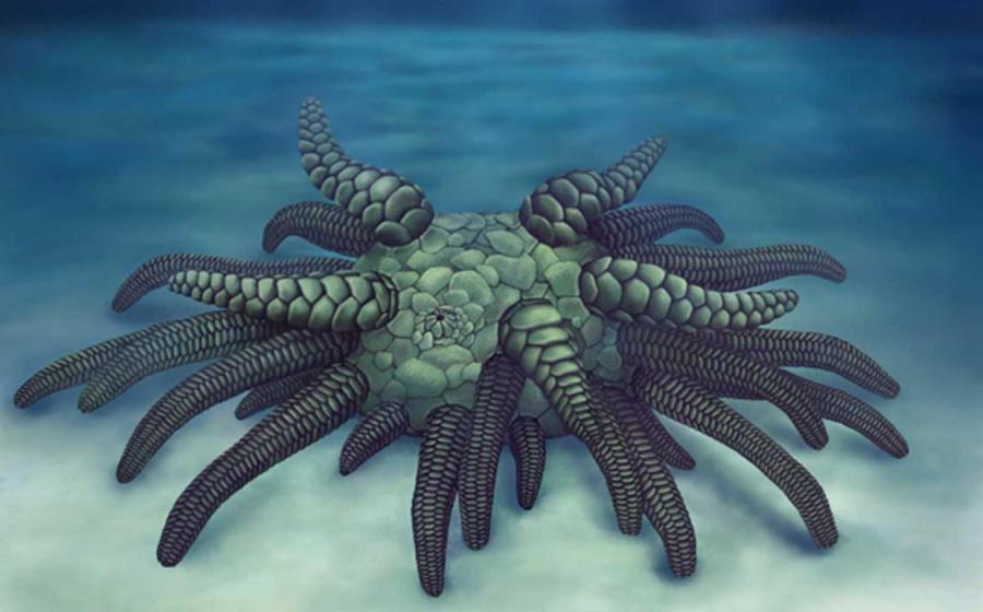 Cthulhu fossil reconstruction of Sollasina cthulhu. Source: Elissa Martin / Yale Peabody Museum of Natural History.