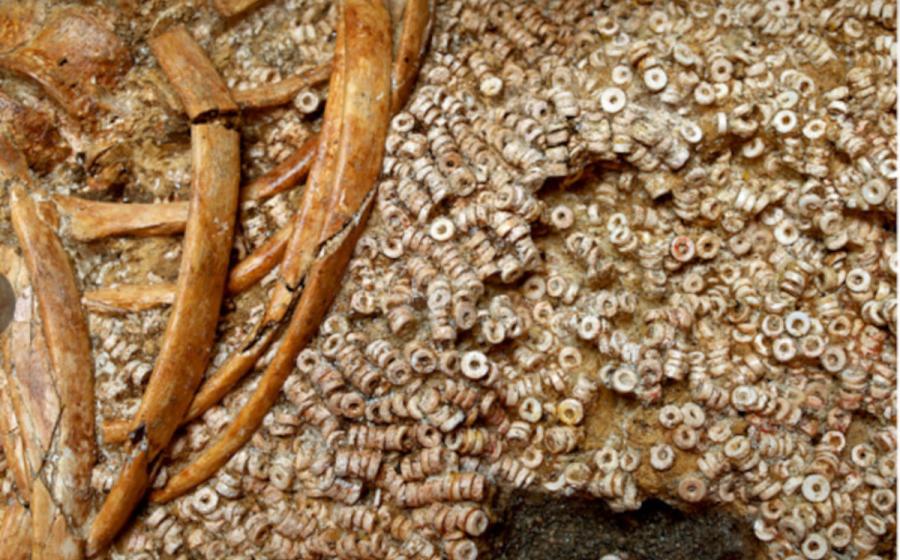 Close-up of the threaded beads on attire UE 344, found next to the bones of Individual 343.