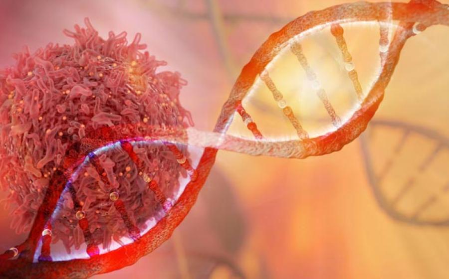 DNA strand and Cancer Cell Oncology Research Concept 3D rendering	Source: catalin/Adobe Stock